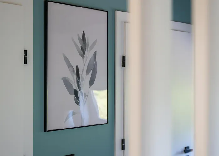 Zachodni Wiatr - Betula Nyaraló