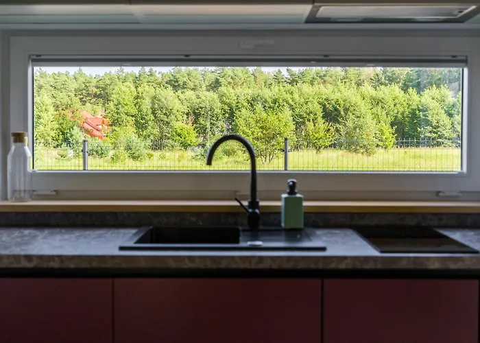 Nyaraló Zachodni Wiatr - Betula *